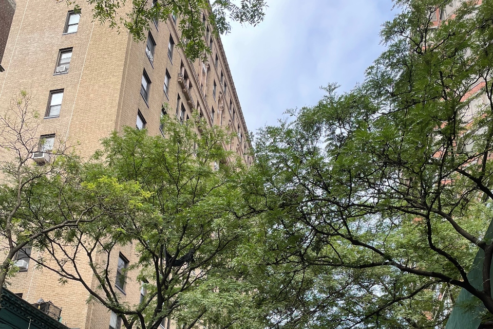 a building and trees