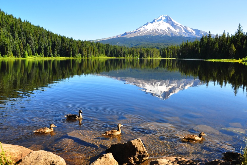 Living in Oregon - Trillium Lake with Mount Hood in the background