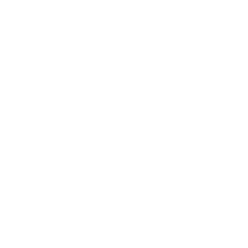 Spin the wheel icon