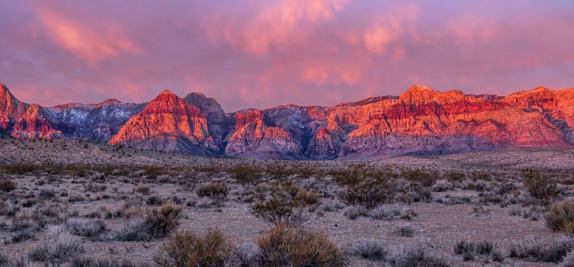 Best Dallas to Paradise movers