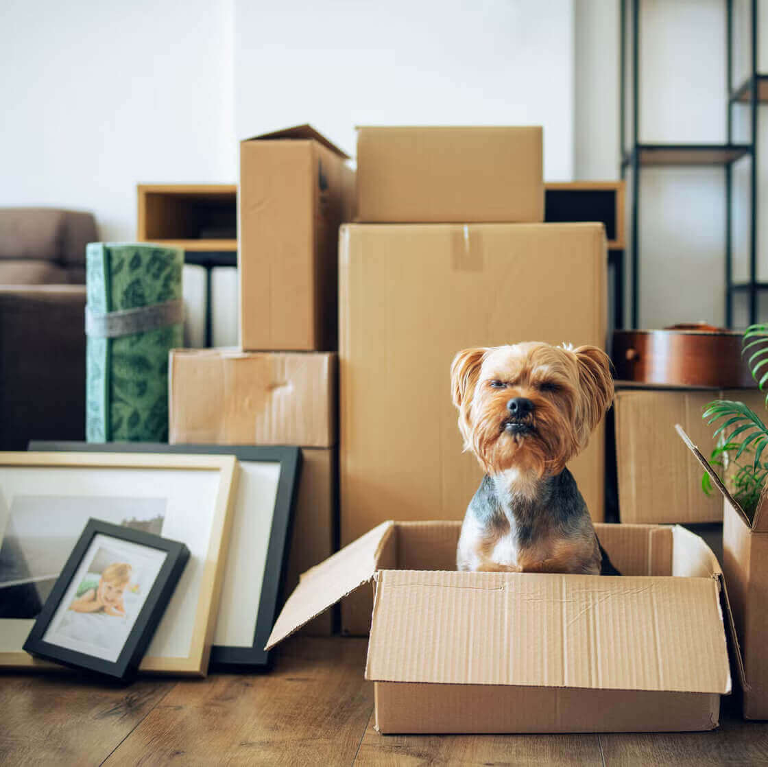 This Is the Best Time of Month to Move in 2026, According to Moving Experts