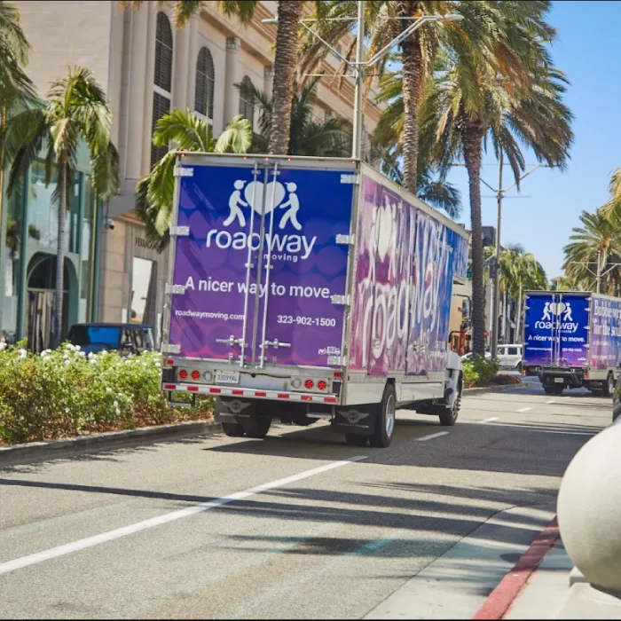 Roadway Moving Beverly Hills - Movers during a move in Beverly Hills