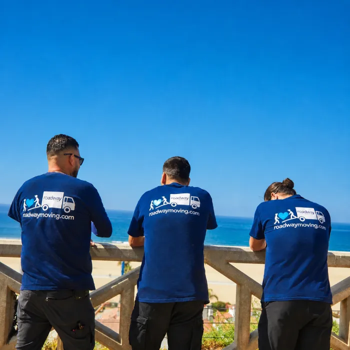 Roadway Moving Malibu - Movers during a move in Malibu